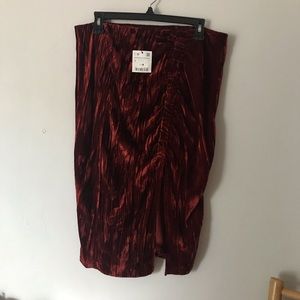 Zara | Skirt | NWT